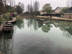 -乌村