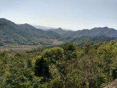 -千年银杏谷文化旅游区
