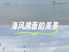 -那香海钻石沙滩浴场