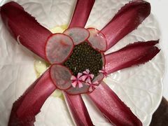 蓝旗金枪鱼塔塔-蝶舍·MAISON PAPILLON