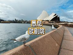 -悉尼歌剧院