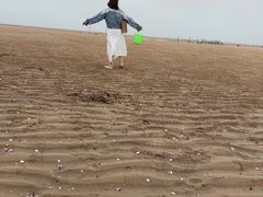 -日照灯塔风景区