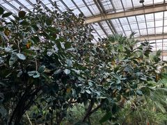 -龙达温泉生态城