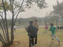 -盘龙城国家考古遗址公园