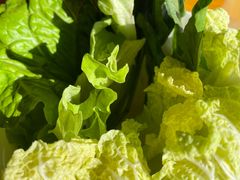 -老诚一锅羊蝎子(黄寺大街店)