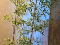 -百富源·海鲜辽菜(张士店)
