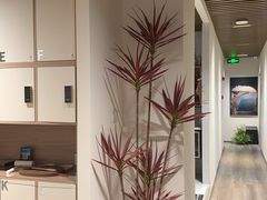 -成寿寺(地铁站)