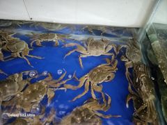 -阳澄湖大闸蟹·琼灵阁牌品牌连锁(吴中总店)
