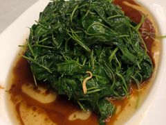清炒草头-梅龙镇酒家(南京西路总店)