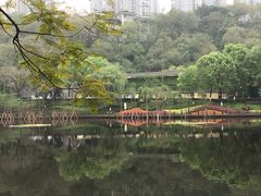 -重庆彩云湖湿地公园