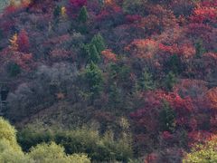 -九如山休闲旅游度假区