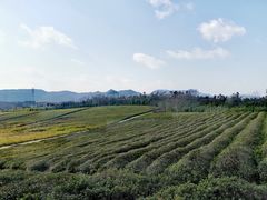 -宜兴龙背山森林公园