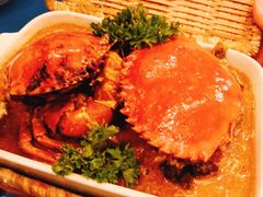 -茉莉.Red Crab