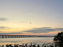 -宝安西湾红树林湿地公园