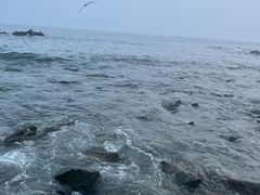-银沙滩浴场