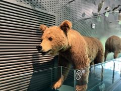 -中国湿地博物馆