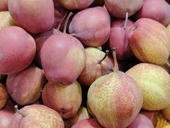 -中国农业博物馆