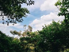 -广州雕塑公园