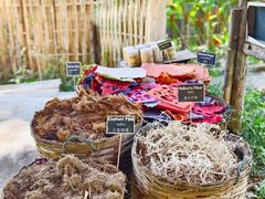 -大象粑粑造纸公园