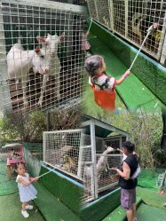 -可可天空农场(中大店)