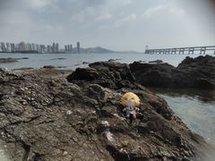 -黑石礁公园