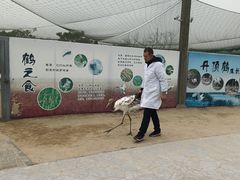 -盐城丹顶鹤湿地生态旅游区