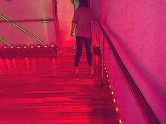 -奔马滚轴溜冰场