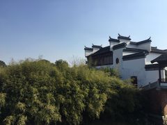 -八大山人梅湖景区