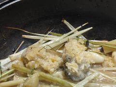 -石岐乳鸽村(南海第三分店)