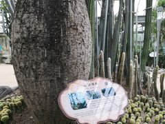 -南山植物园