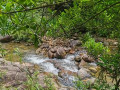 -广州白江湖森林公园