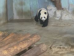 -海南热带野生动植物园