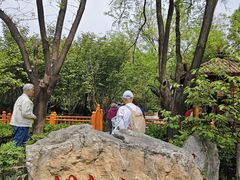 -太阳宫公园