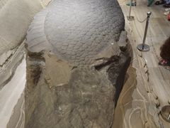 -白鹤梁水下博物馆