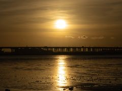 -宝安西湾红树林湿地公园