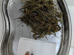 -爱妮康宠物医院·干细胞免疫细胞·肿瘤·心脏(张江店)