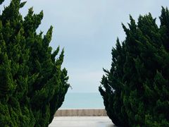 -索纳斯咖啡(海安路店)