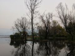 -西昌邛海湿地