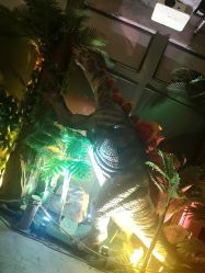 点击看大图 -恐龙探索乐园(磁器口店)