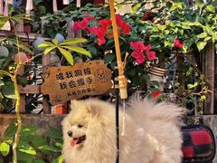 -三溪村