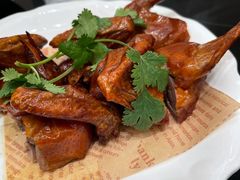 脆皮乳鸽-新南华大酒店(长寿店)