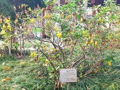 -广州神农草堂中医药博物馆