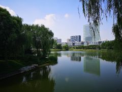 -大兴滨河森林公园