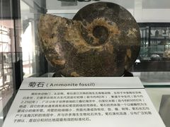 -中国第四纪冰川遗迹陈列馆