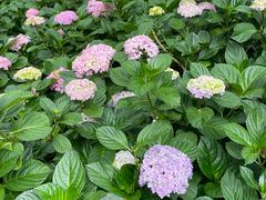 -常州古运河南大街文化旅游区-人民公园