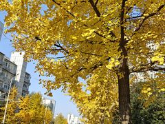-盒马鲜生(首义店)