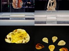 -北京大葆台遗址博物馆