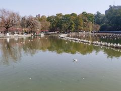 -梅姐海鲜餐厅(水头海鲜街店)