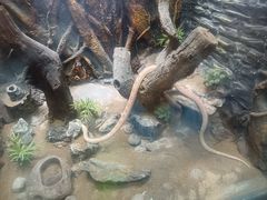 -成都动物园