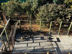 -青藏高原野生动物园